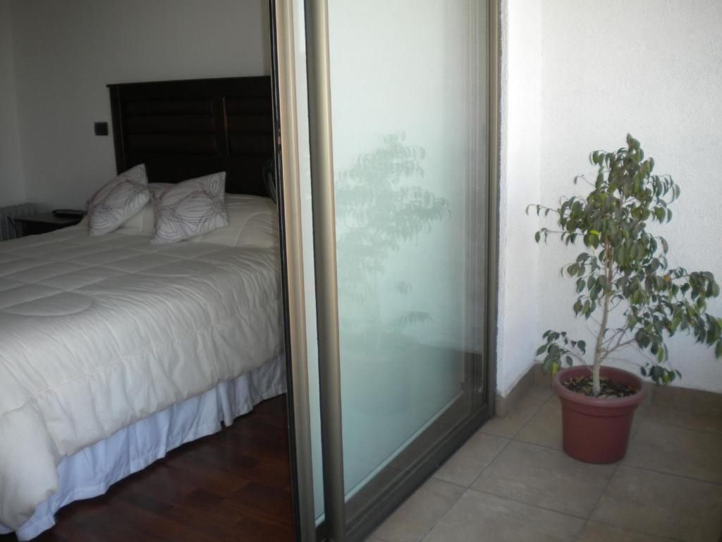 Barcelo Suites Providencia I Santiago de Chile Rum bild